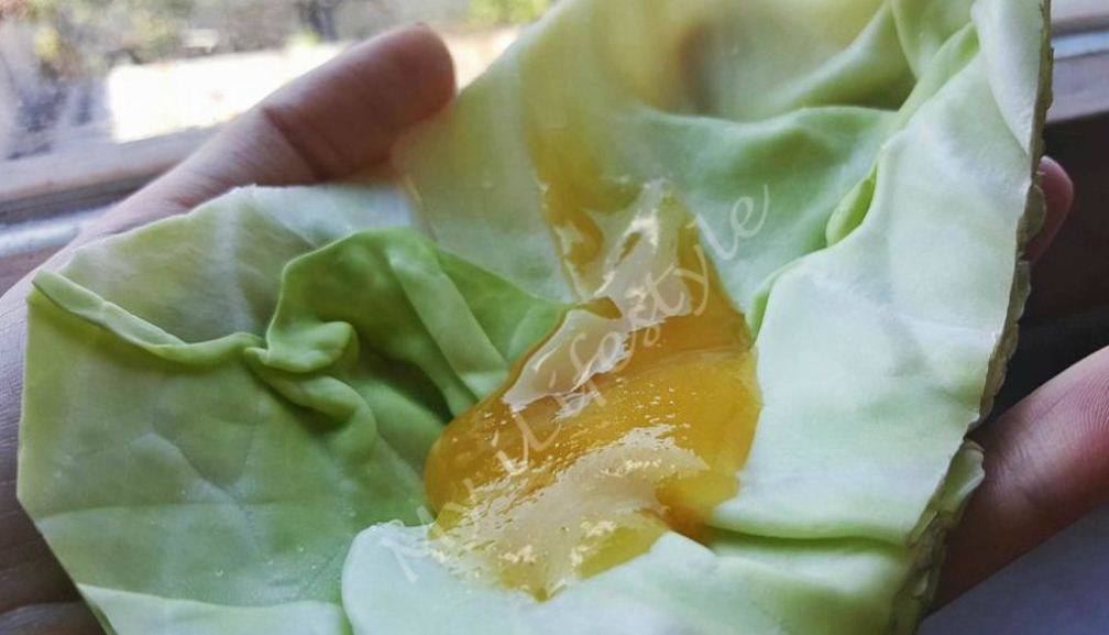 12 рецептов компрессов при лактостазе: как прикладывать капустный лист, медовую лепешку и другие народные средства?