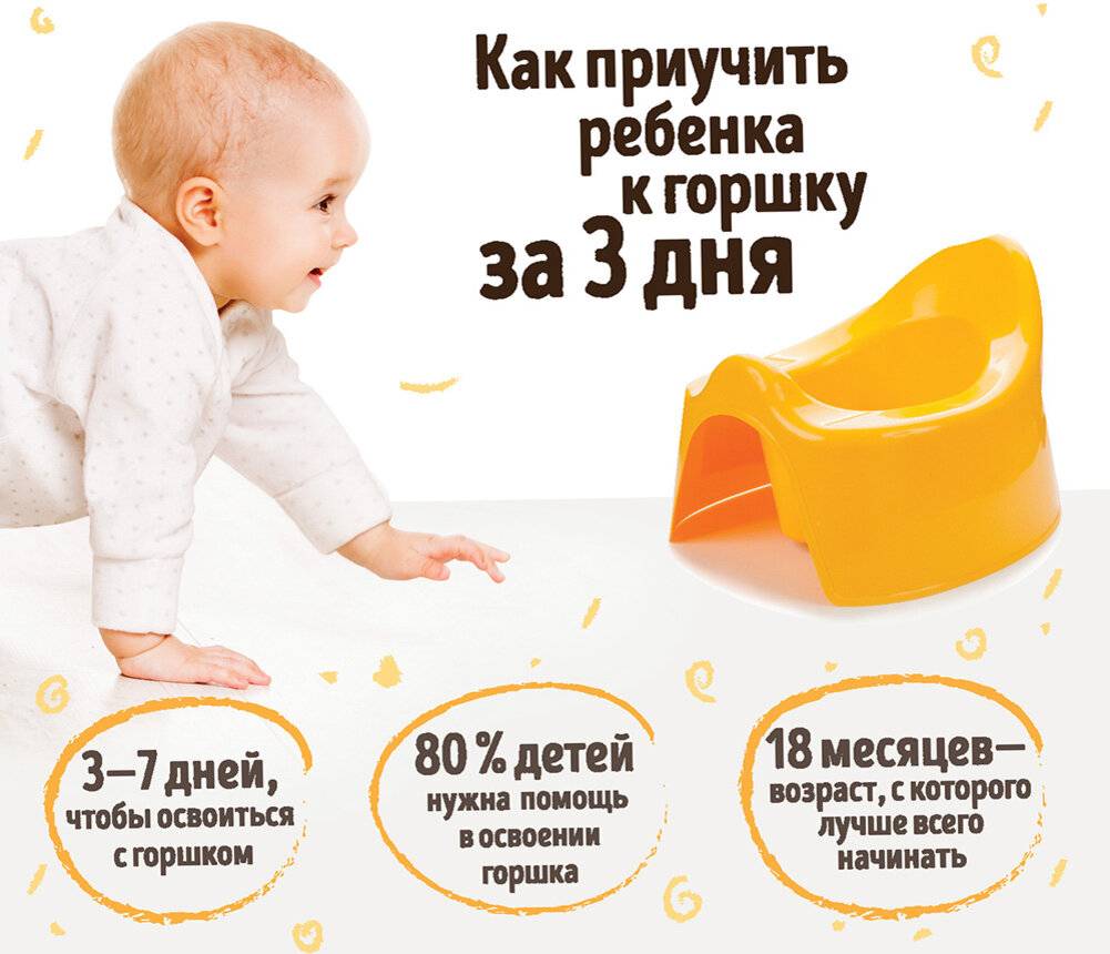 Когда начинать приучать ребенка к горшку?