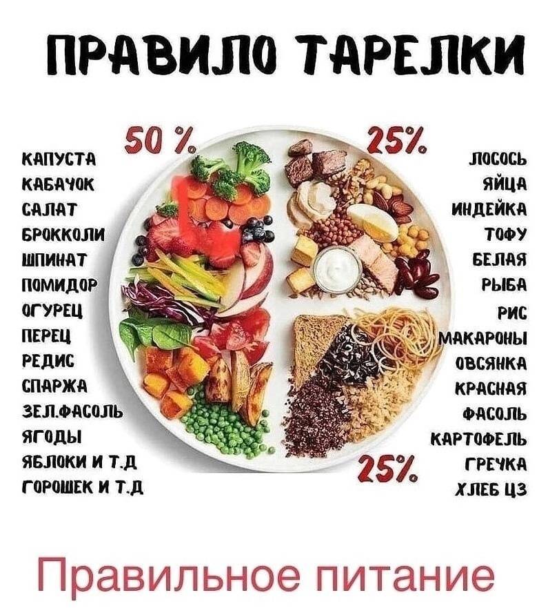 Белковое питание во время процедуры эко: меню на неделю и общие рекомендации