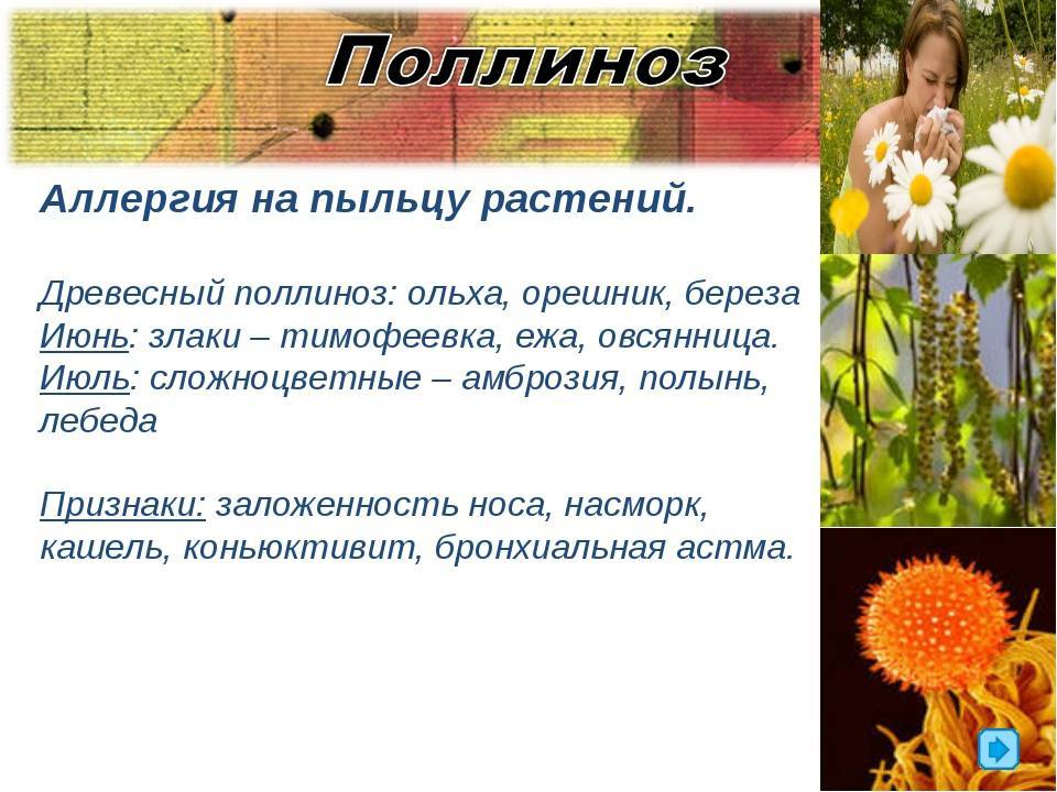 Аллергия на пыльцу у ребенка: симптомы, лечение
