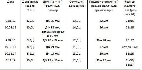 Доминантный фолликул: размеры по дням цикла до овуляции, когда он лопается, нормальный размер для зачатия