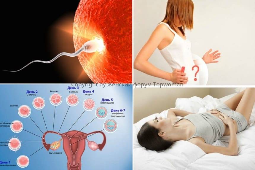 Признаки беременности на ранних сроках и до задержки: когда появляются первые симптомы, какие изменения происходят на 1 и следующих неделях