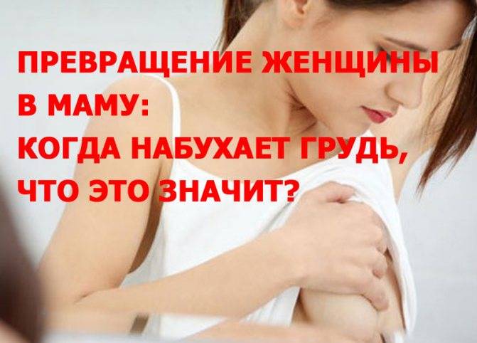 Когда начинает болеть грудь после зачатия: на какой день и признаки | parnas42.ru