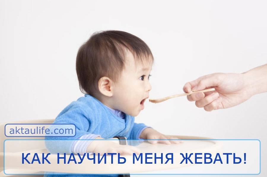 Приучаем ребенка жевать твердую пищу