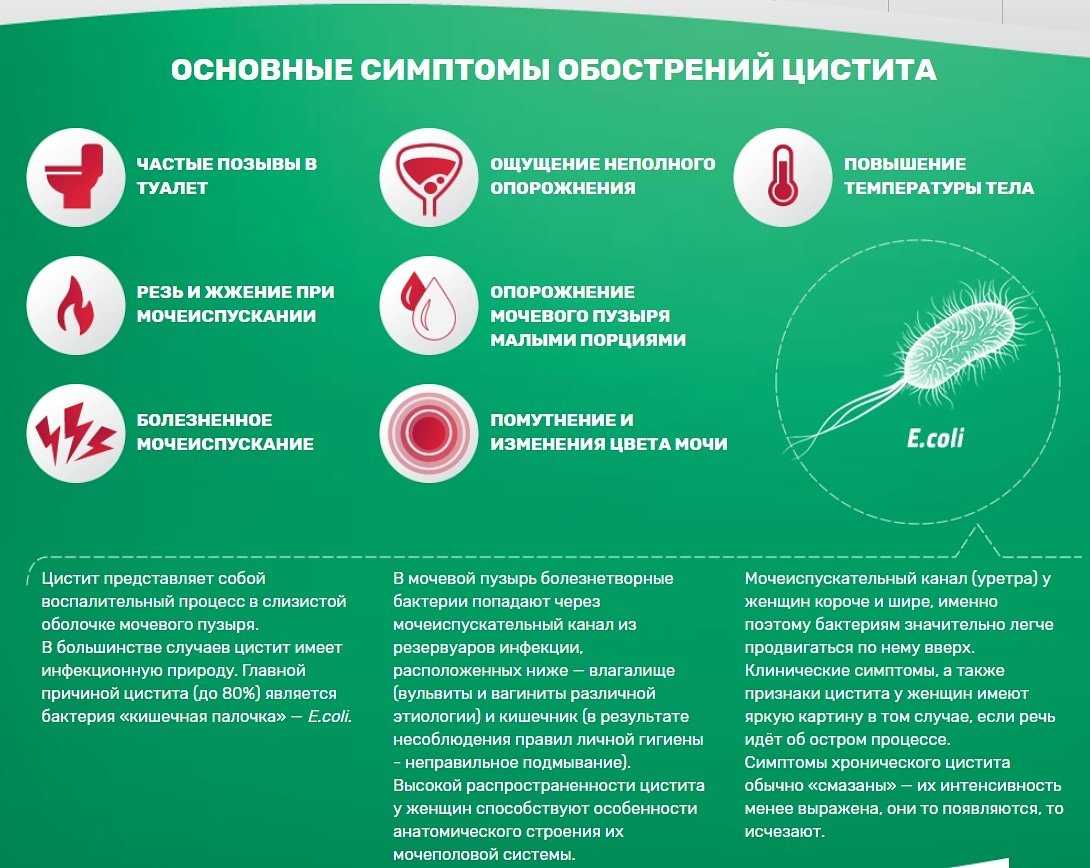 Цистит после родов лечение при грудном вскармливании — proinfekcii.ru