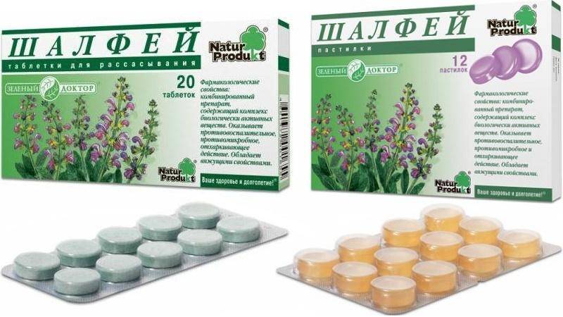 Можно ли шалфей беременным: категорические запреты и когда растение полезно будущей маме