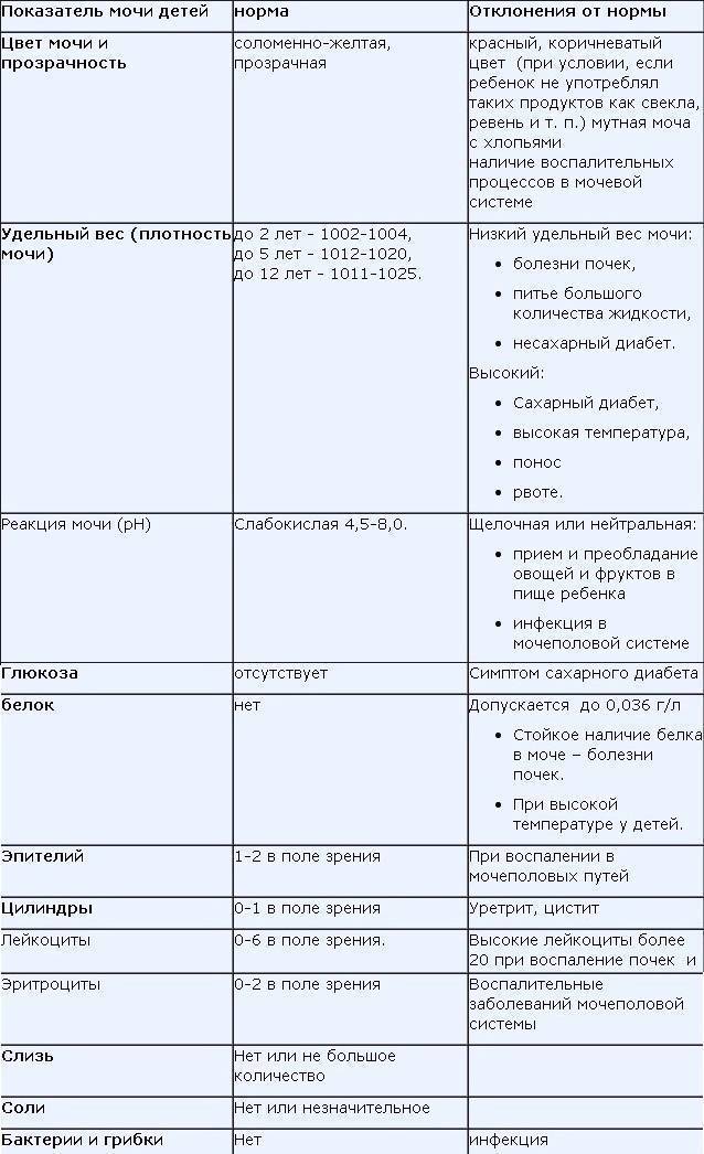 Сколько нужно мочи для общего анализа взрослого и ребенка