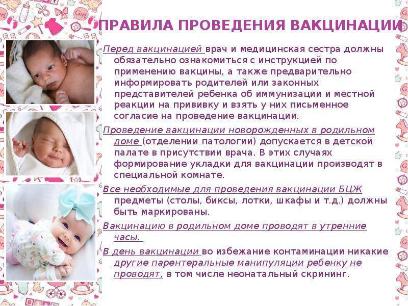 Вакцинация детей до года календарь прививок противопоказания