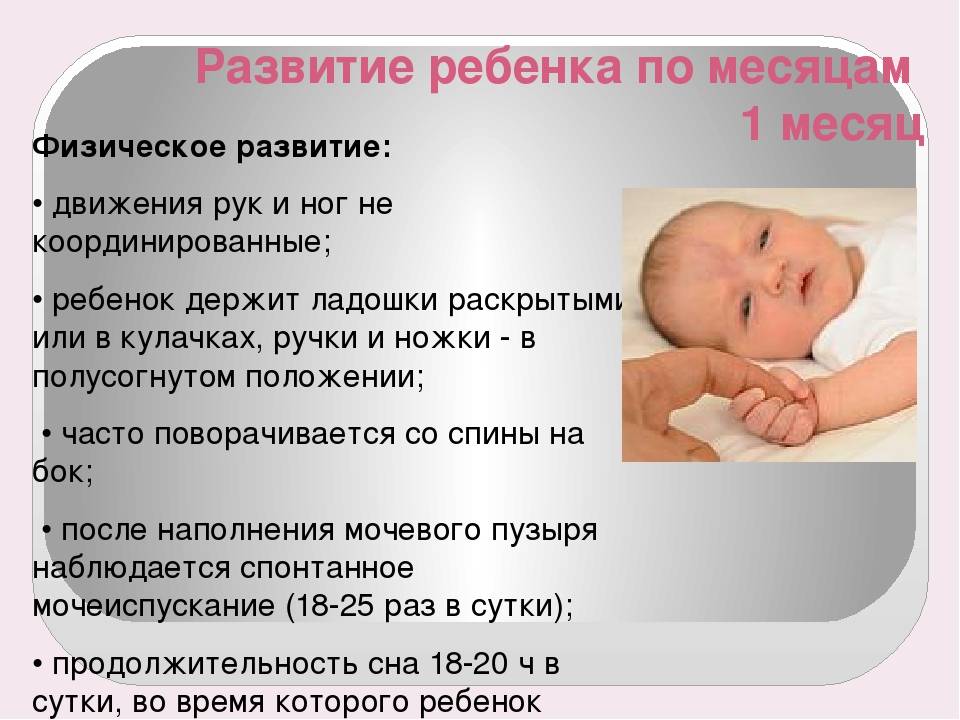 Занятия с ребенком 1 года: как развивать и чему учить детей от года