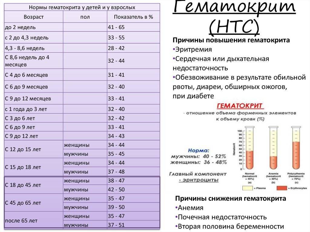 Гематокрит у ребенка повышен или понижен: что значит отклонение от нормы?