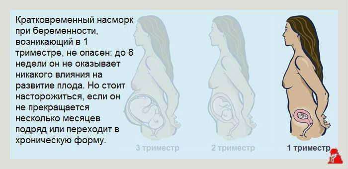 9 первых признаков беременности до задержки месячных