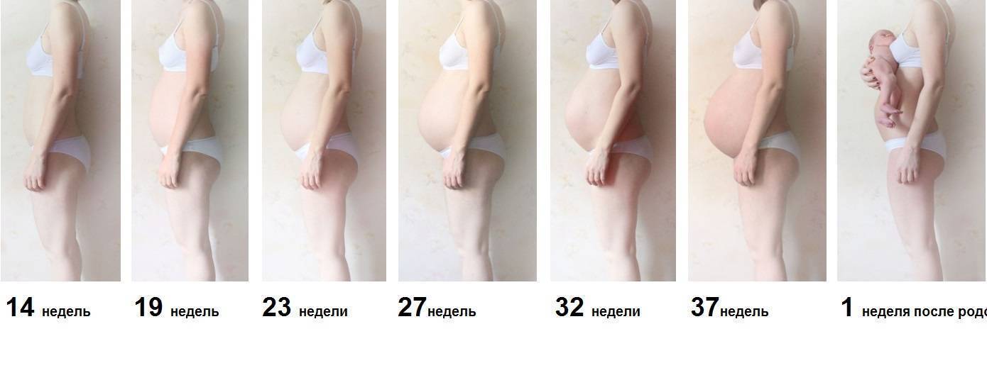 На какой неделе растет грудь? - когда растет грудь при беременности - запись пользователя нита (id841106) в сообществе клуб беременных - babyblog.ru