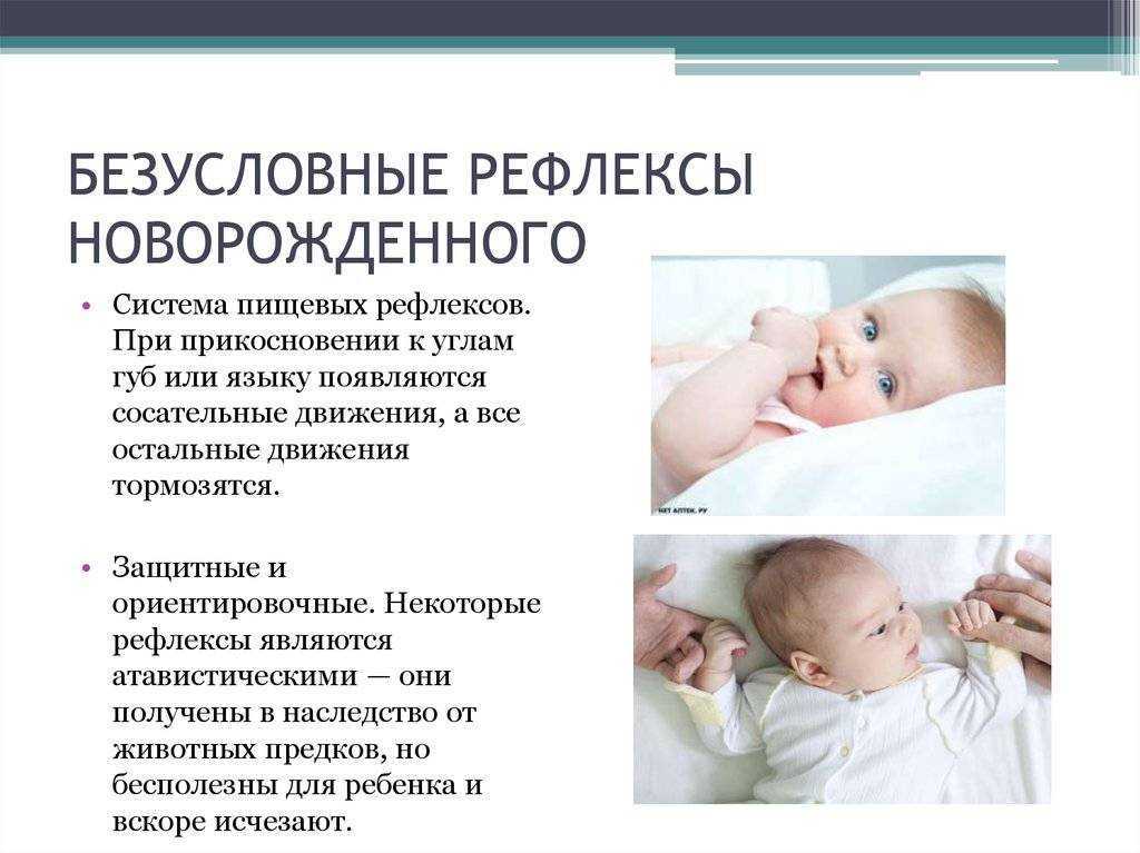 Рефлексы новорожденного: моро, реакции бабинского, бабкина, галанта, таблица по месяцам