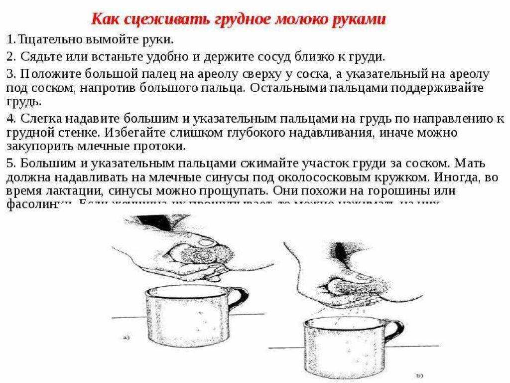 Как сцеживать грудное молоко руками | уроки для мам
