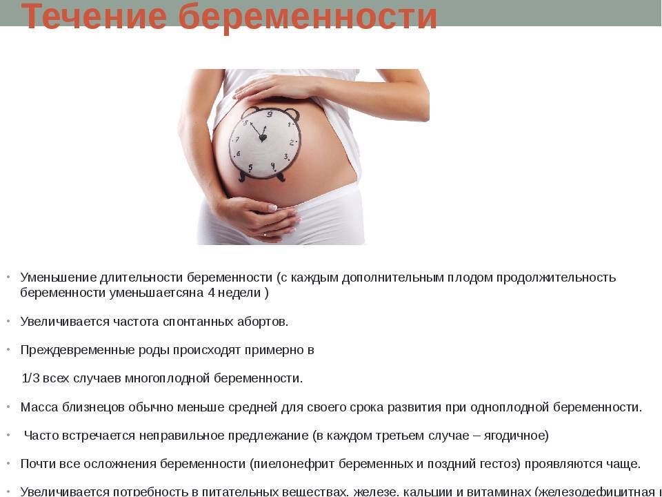 Многоплодная беременность при эко. каковы шансы?