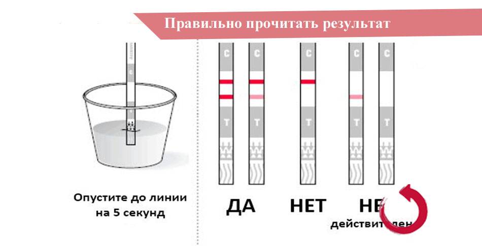 Тест на беременность evitest – виды, инструкция