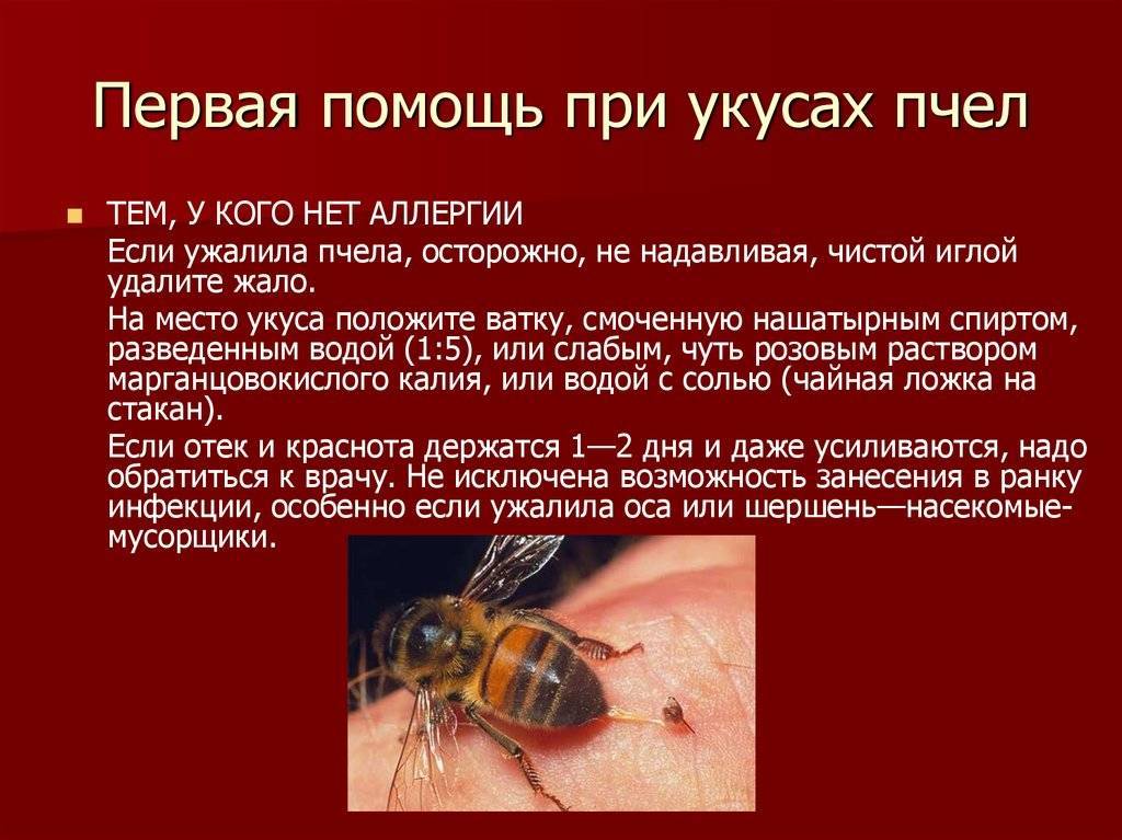 Ребенка укусила пчела или оса