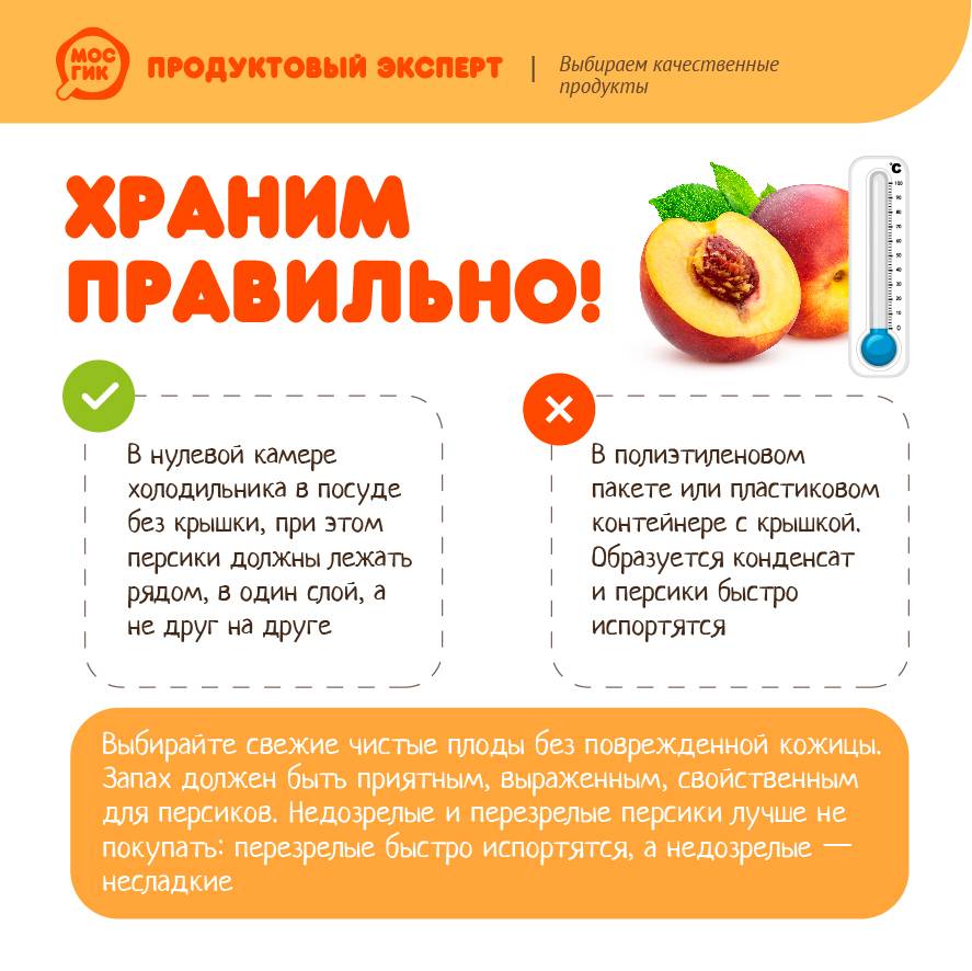 С какого возраста можно персики ребенку | уроки для мам