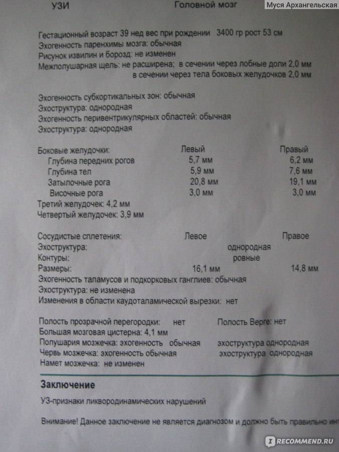 Нсг головного мозга новорожденных: расшифровка нейросонограммы, таблица нормы до года и в 1 месяц, отклонения, контроль, вредно ли, что такое неросонография