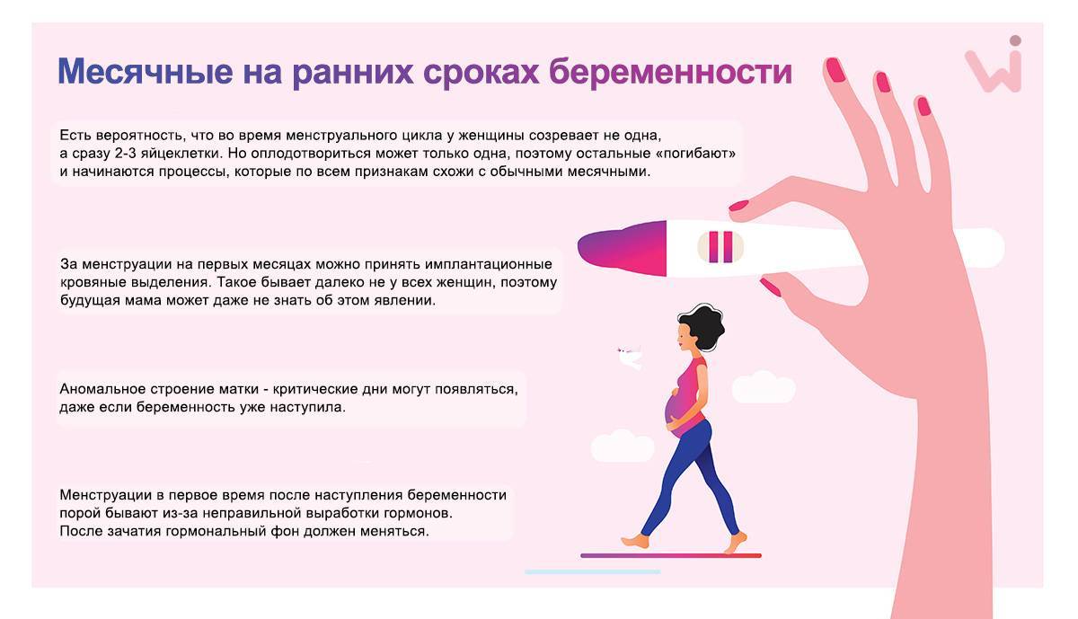 Признаки беременности на ранних сроках (до задержки, вероятные и достоверные)