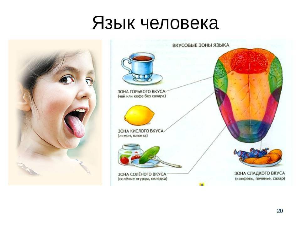 Почему грудное молоко стало соленым