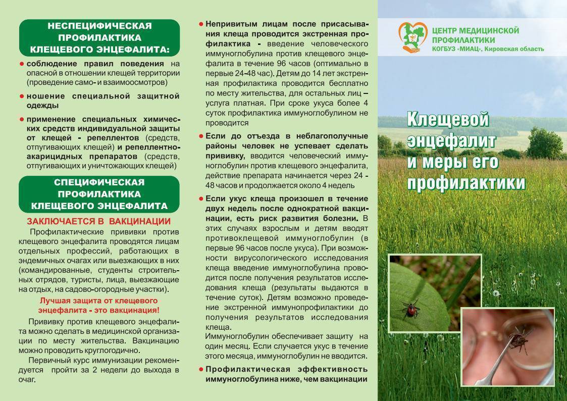 Клещевой энцефалит у детей - симптомы болезни, профилактика и лечение клещевого энцефалита у детей, причины заболевания и его диагностика на eurolab