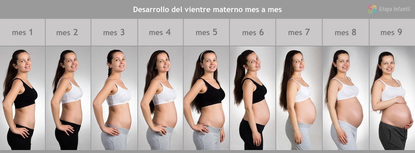 На какой неделе можно ожидать появления животика во время беременности