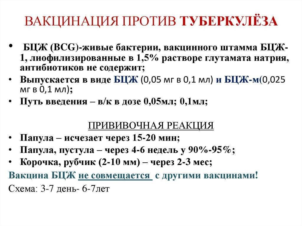 Прививка бцж – вакцина от туберкулеза для новорожденных