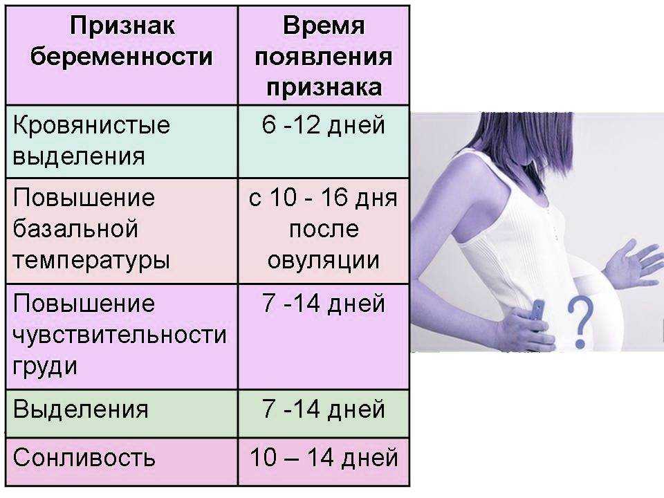 Как гинеколог определяет беременность на ранних сроках при осмотре?