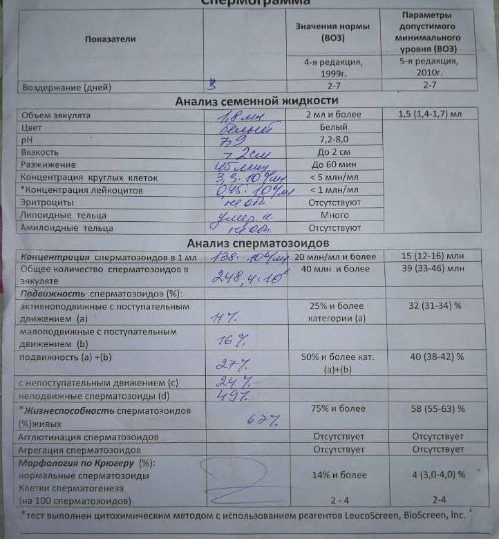 Эритроциты, лецитиновые зерна и клетки эпителия в спермограмме: что это означает?