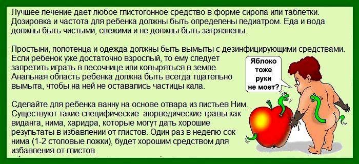 Самые эффективные домашние способы борьбы с глистами у человека