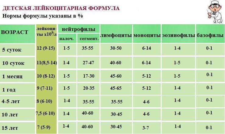 Лейкоциты: норма у детей по возрасту. нормальные значения уровня лейкоцитов у ребенка до года, 5, 15 лет