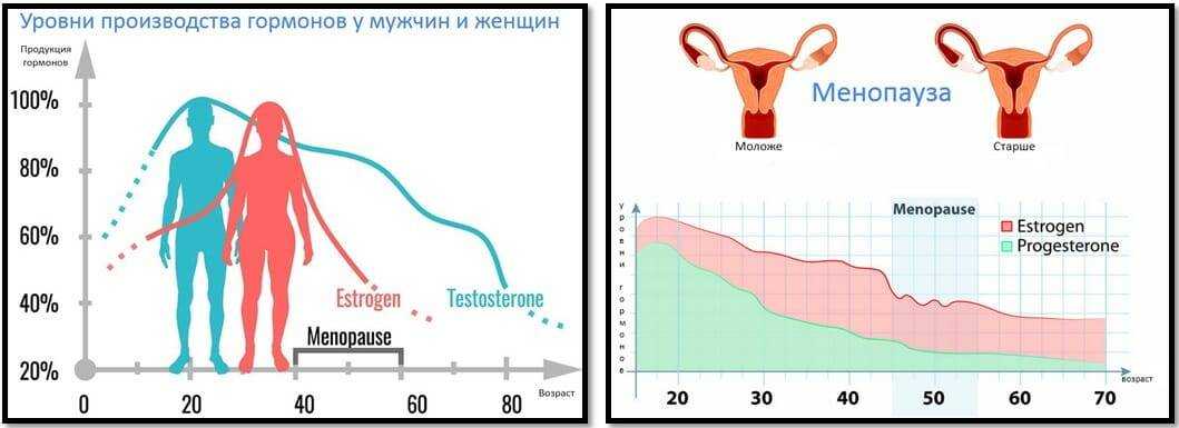 Почему перед месячными надувается живот и увеличивается вес: набор веса перед месячными