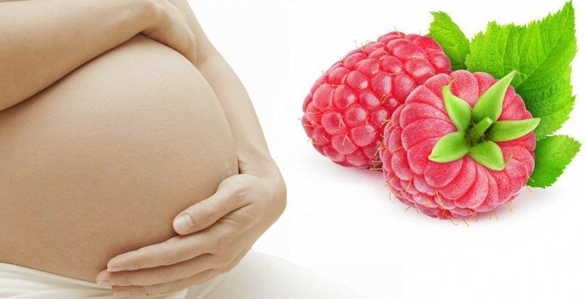 Чернослив при беременности: можно ли беременным употреблять плод, в чем польза и вред?