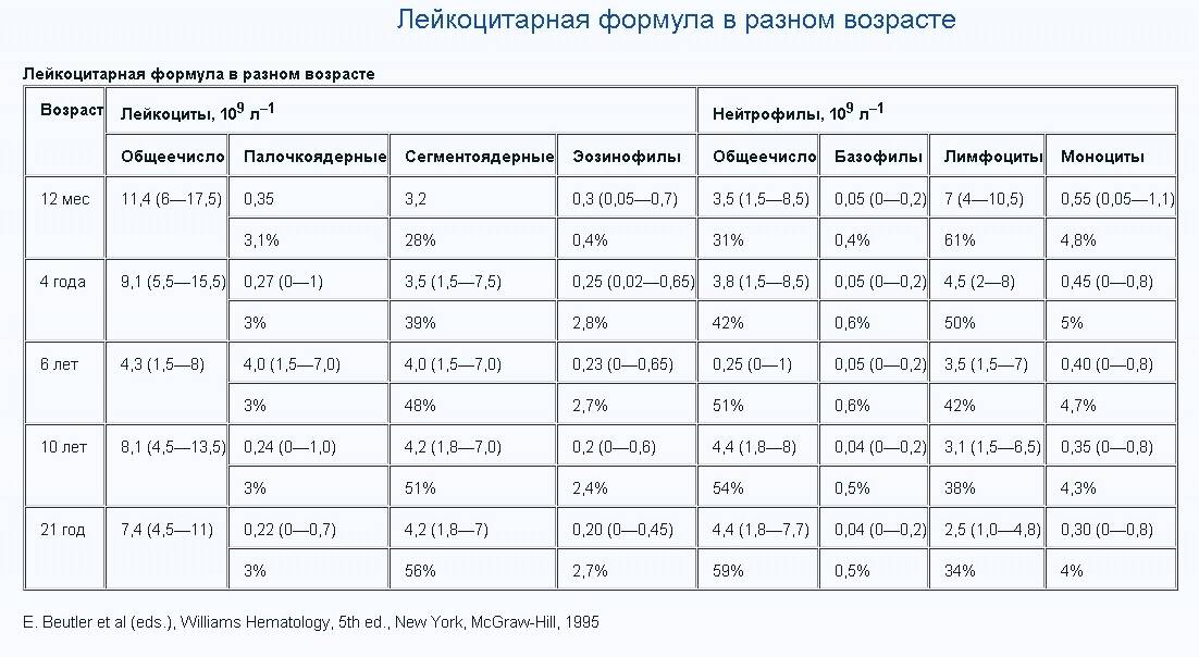 Анализ крови: расшифровка у детей 🔍, норма в таблице, результаты показателей у новорожденных и старше
