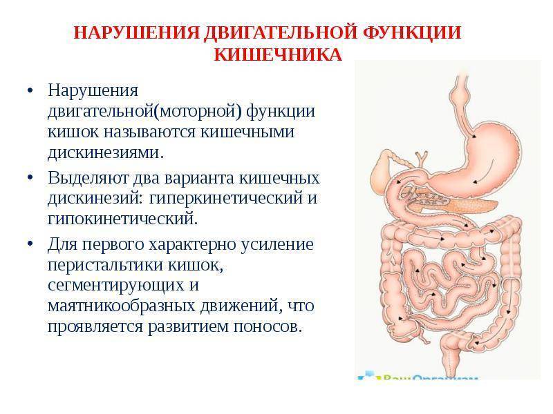 Дискинезия кишечника у детей - симптомы, диагностика и лечение