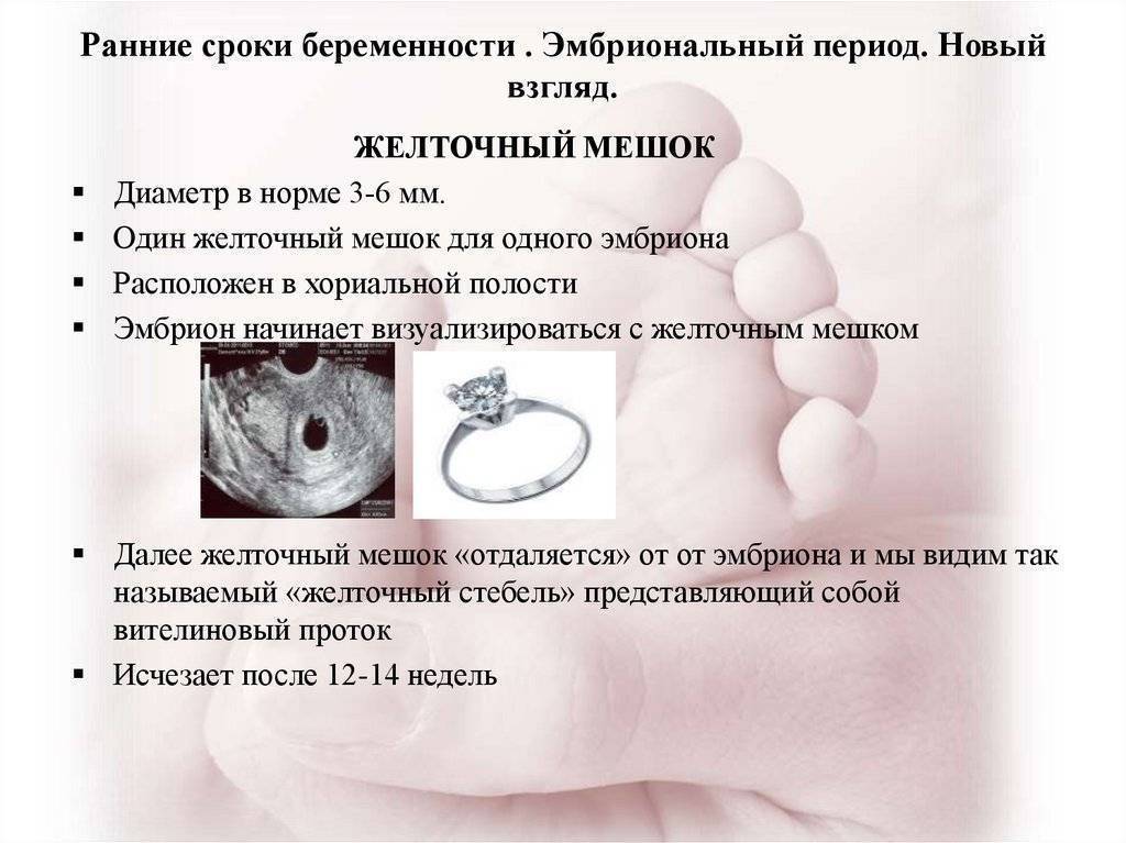 👶ответ эксперта: желточный мешок при беременности: размеры по неделям 👪 желточный мешок в норме по неделям таблица
