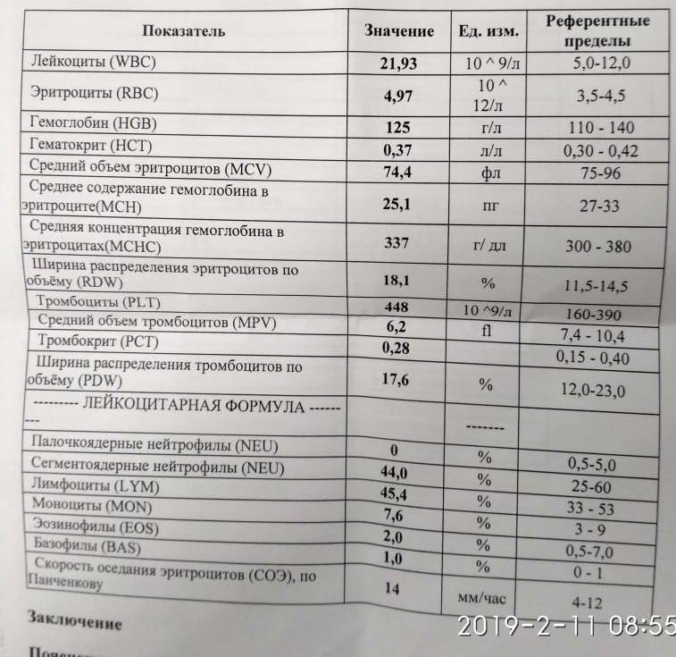 Среднее содержание гемоглобина в эритроците (мснс)