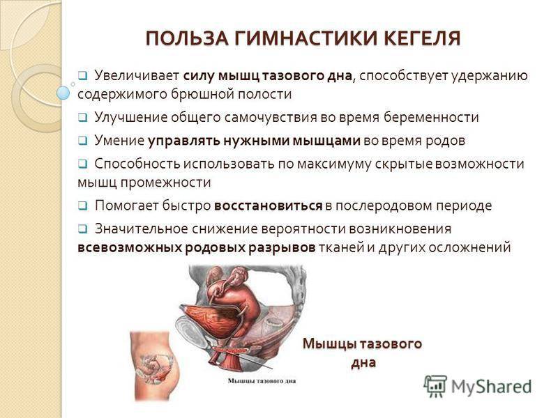 Опущение матки после родов: какие симптомы, как лечить, могут ли быть последствия?