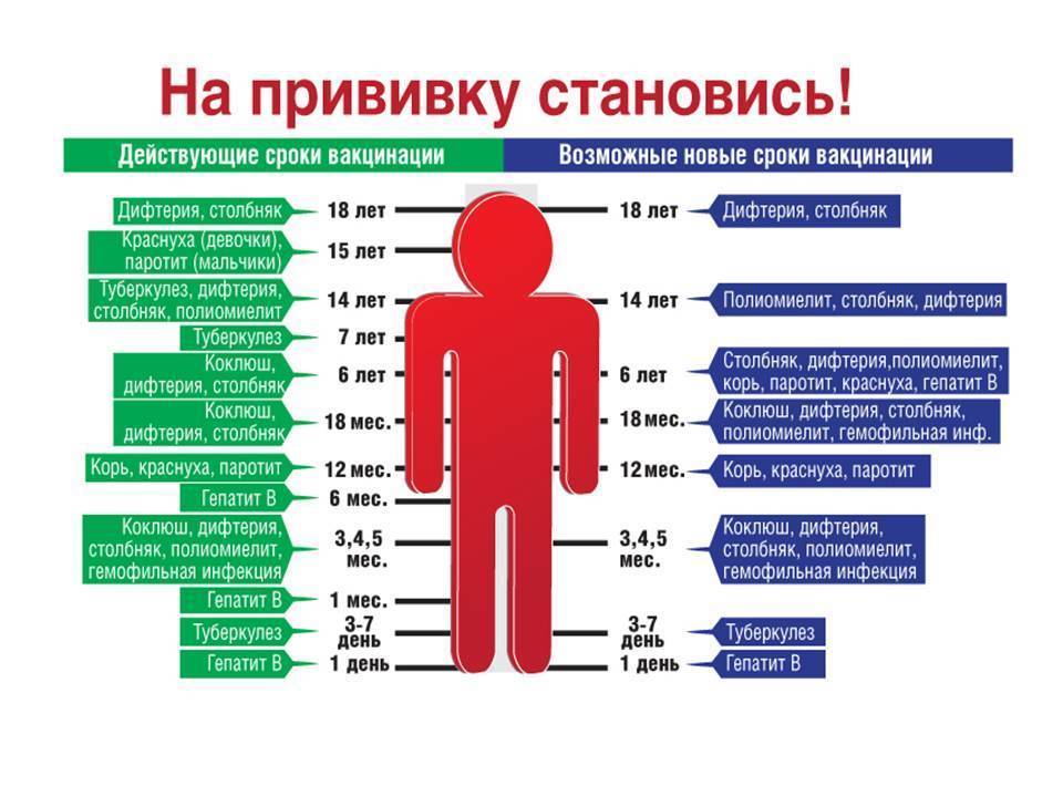 Период максимальной силы иммунитета, или сколько действует прививка от столбняка