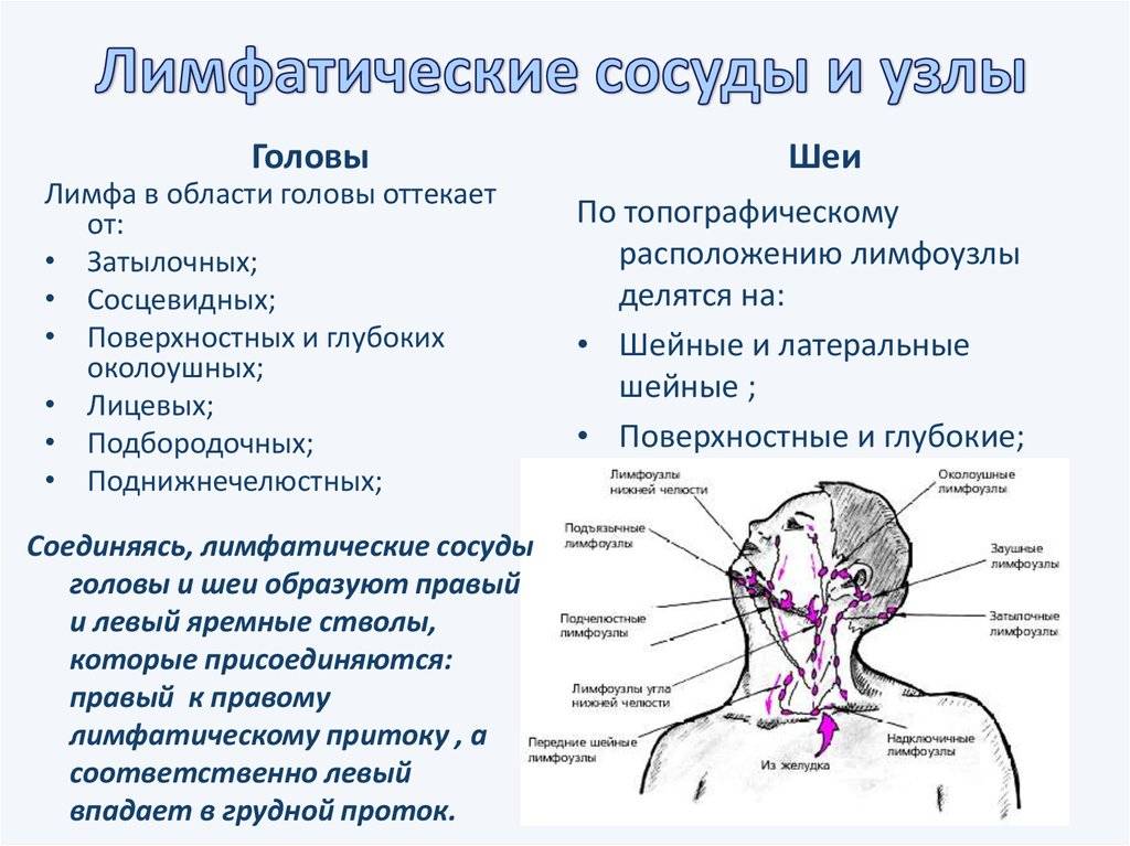Лимфаденопатия и лимфаденит - увеличение и воспаление лимфоузлов: причины, диагностика, лечение