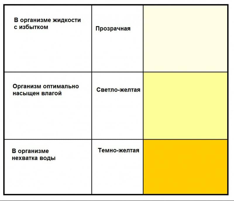 Моча у ребенка стала бесцветной и прозрачной, желтой или белой: что это значит и почему урина меняет цвет?
