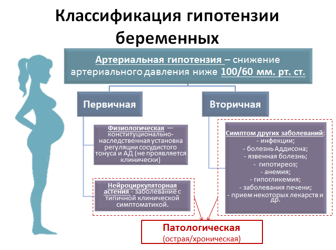 Высокое давление при беременности. влияние на плод