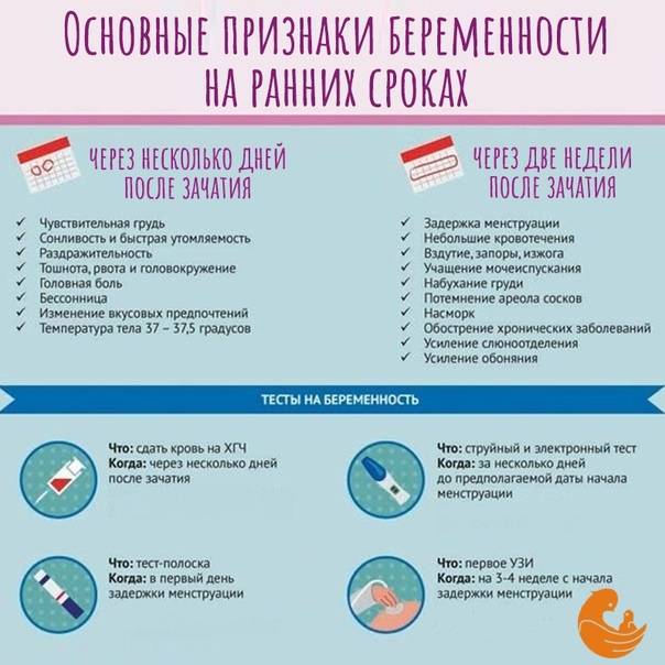 О чем расскажет форма живота при беременности
