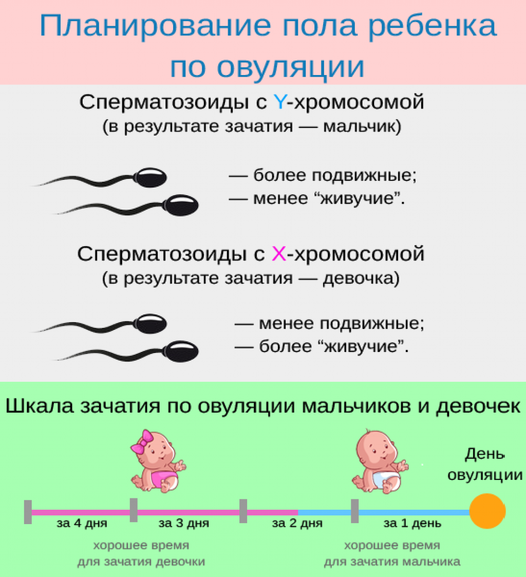 Как забеременеть, если муж не хочет ребенка, чтобы он не узнал и не заметил?