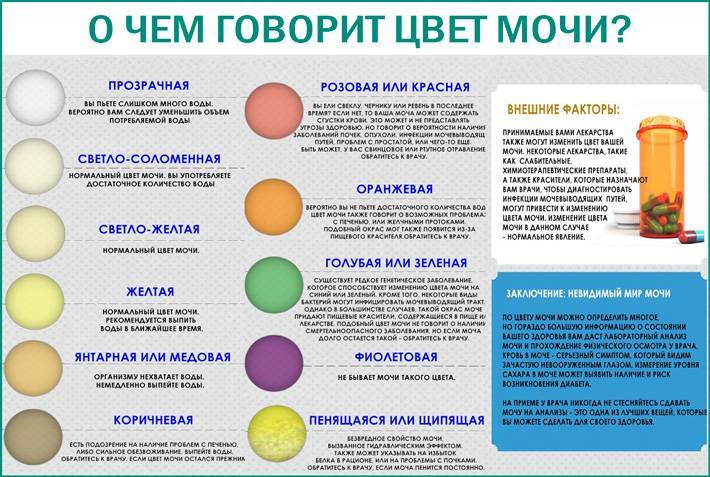 Желтая моча у грудничка: стоит ли беспокоиться родителям?