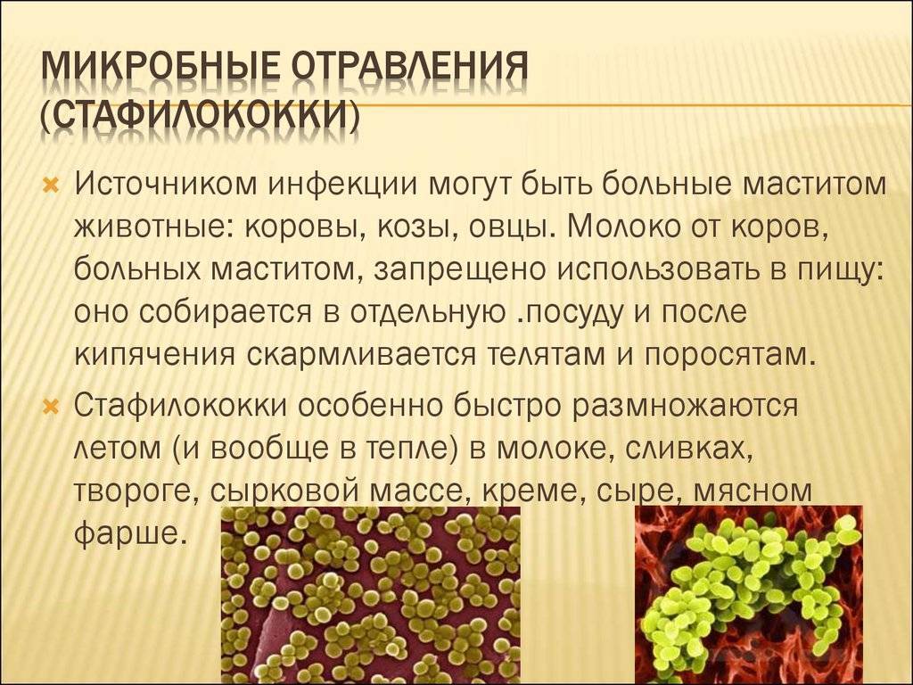 Стафилококк у детей - симптомы и осложнения, диагностика, лечение и профилактика