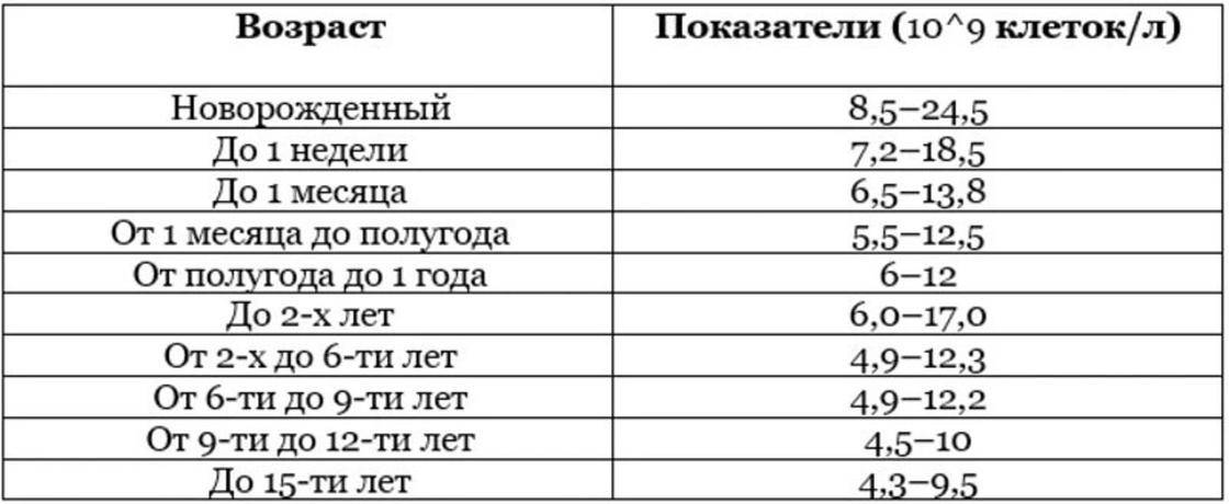 Показатели по сегментам: найдено 85 изображений