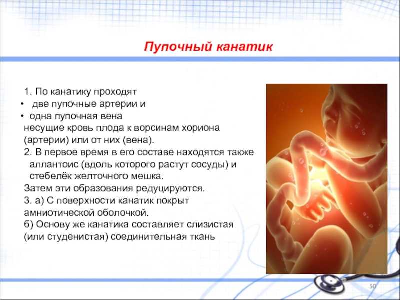 Обвитие пуповиной на 32 неделе беременности - мапапама.ру — сайт для будущих и молодых родителей: беременность и роды, уход и воспитание детей до 3-х лет