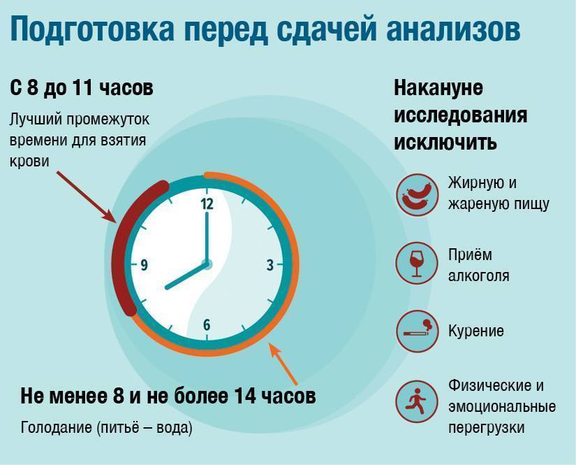Как правильно сдавать общий анализ крови ребенку - натощак или нет? расшифровка и нормы результатов